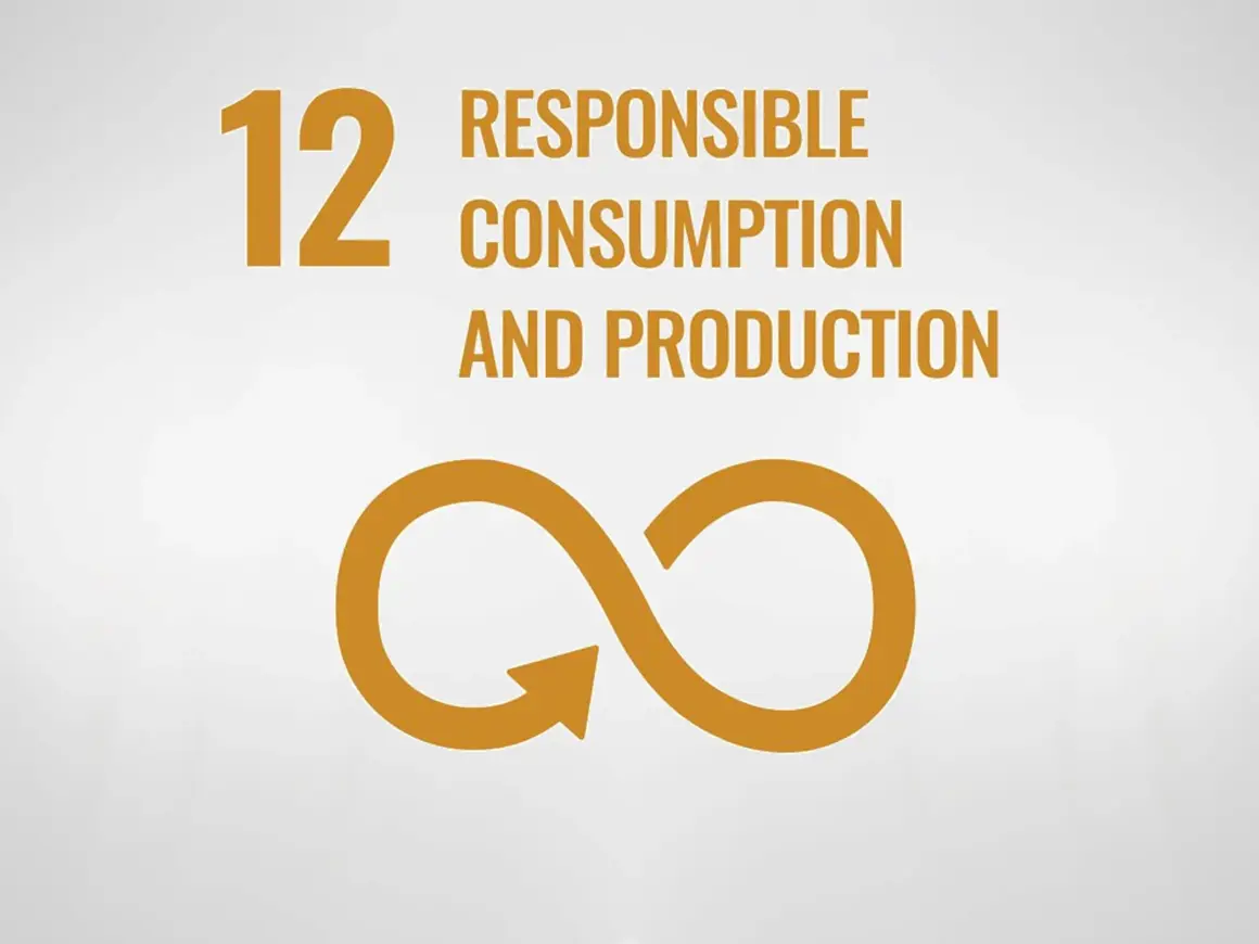 Sustainability development goal 12