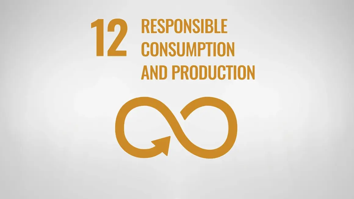 Sustainability development goal 12
