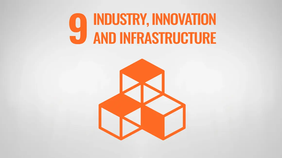 Sustainability development goal 9