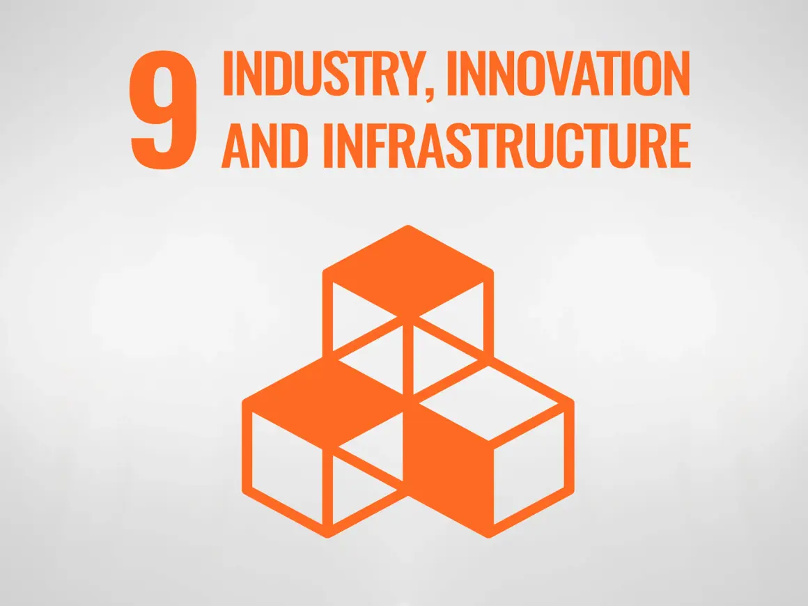 Sustainability development goal 9
