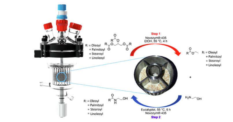 L2503 Schematic representation of the intensified process in SpinChem reactor for the lipase-catalyzed synthesis of fatty amides, starting from a TAGs-rich extract and ethanolamine.