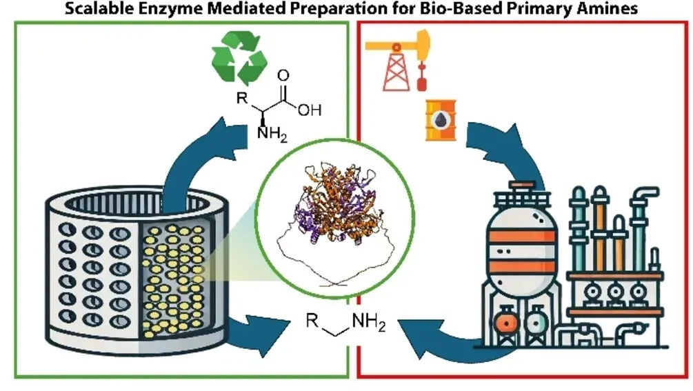 Cost-Effective and Scalable Enzyme-Mediated Preparation of Short-Chain Primary Amines