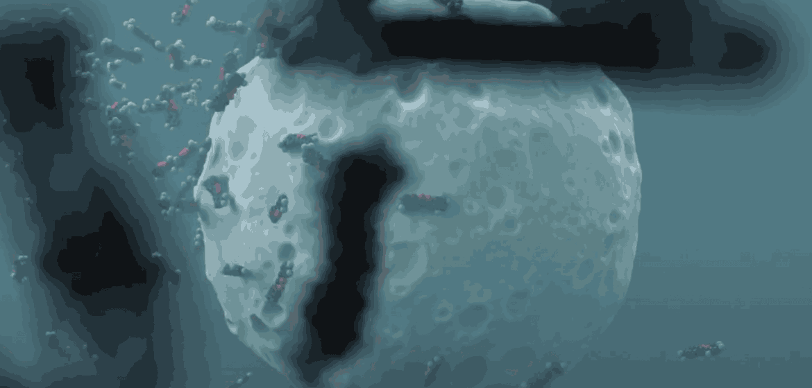 liquid solid interaction