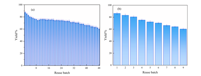 L2505 Reuse of the D311 resin immobilized lipase under the optimal reaction conditions: alcohol to oil molar ratio 3, water content 0 wt%, rotating speed 600 rpm, reaction temperature 35℃, enzyme dosage 10 wt%, reaction time 9 h, methanol addition at 0 h, 3 h and 6 h respectively: (a) in the RBR; (b) in the TSTR.