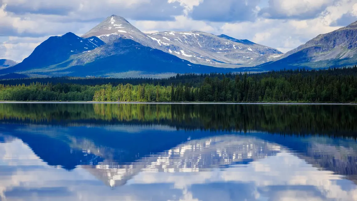 Sustainability in chemical process industries