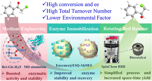 Schematic of the integrated approach combining a betaine–glucose–water deep eutectic solvent, immobilization on DES‑modified resin, and a SpinChem rotating bed reactor to intensify the enzymatic reduction of halogenated aryl ketones.